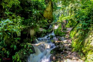 Erin Ijesha Waterfall