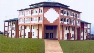 Medical Schools in Nigeria - University of Uyo UNIUYO