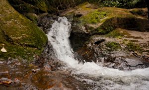 Obudu Resort