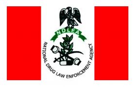 Functions of NDLEA in Nigeria