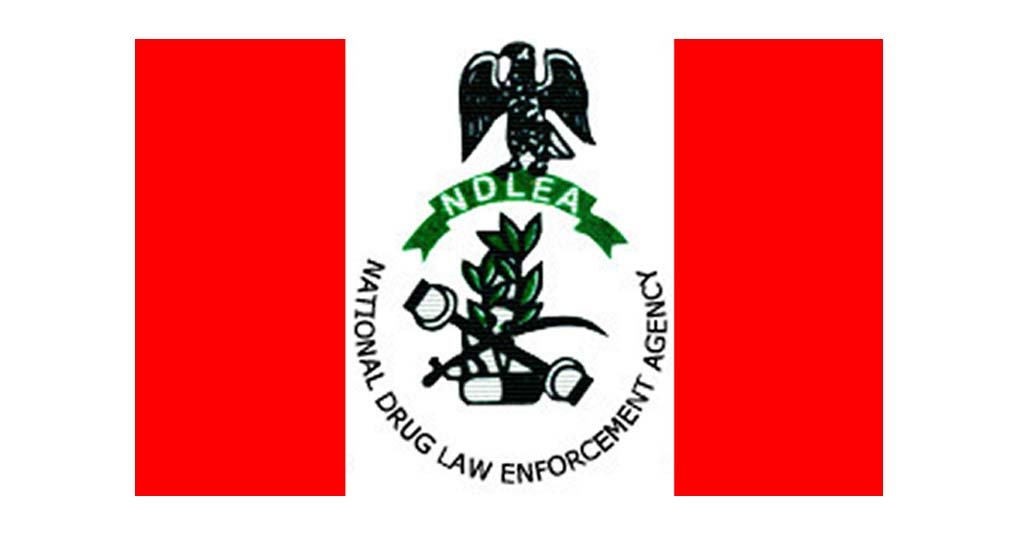 A Brief History and Functions of NDLEA in Nigeria