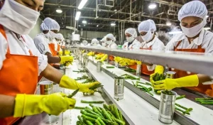 Highest Paying Food Manufacturing Companies