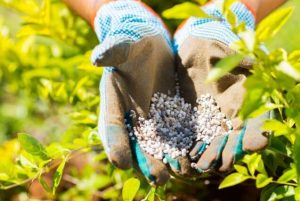 How To Make Natural Fertilizer At Home