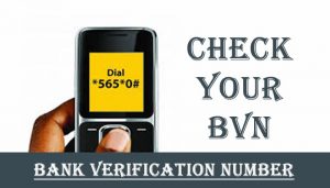 How To Retrieve BVN Without Phone Number