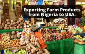 Top Exporting Companies In Nigeria