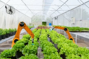 How To Identify A Potential Agritech Before Investing