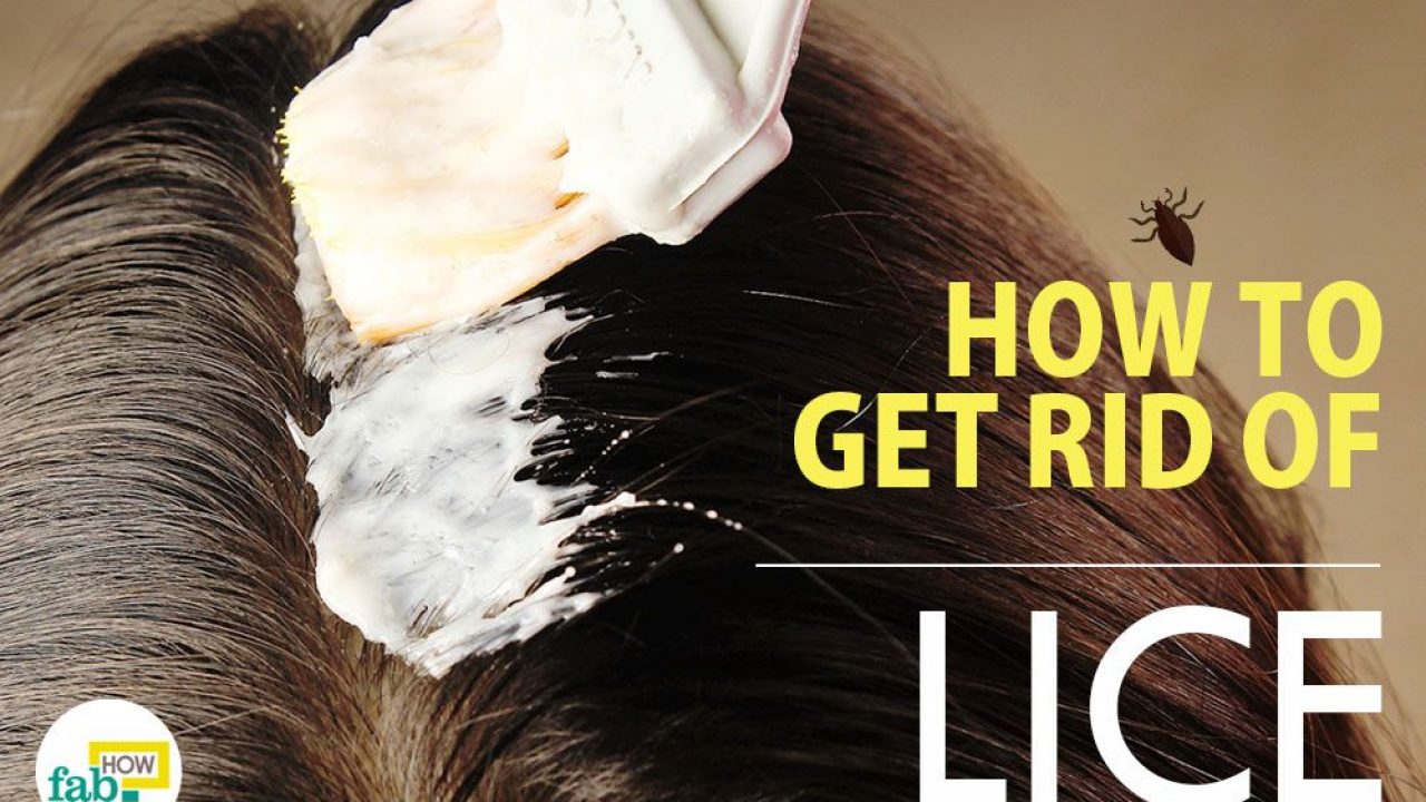Will Relaxer Kill Head Lice? Get Rid of Hair Lice Permanently