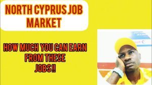Where Can International Students Work in Cyprus?