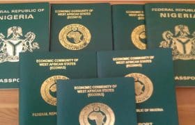Nigerian Passport Application Form PDF