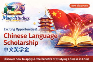 Chinese Language Scholarship